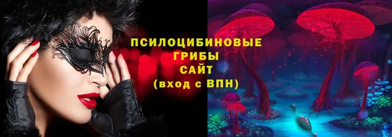 Псилоцибиновые грибы ЛСД  Биробиджан 